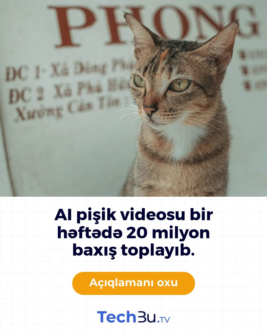 AI pişik videosu bir həftədə 20 milyon baxış toplayıb.