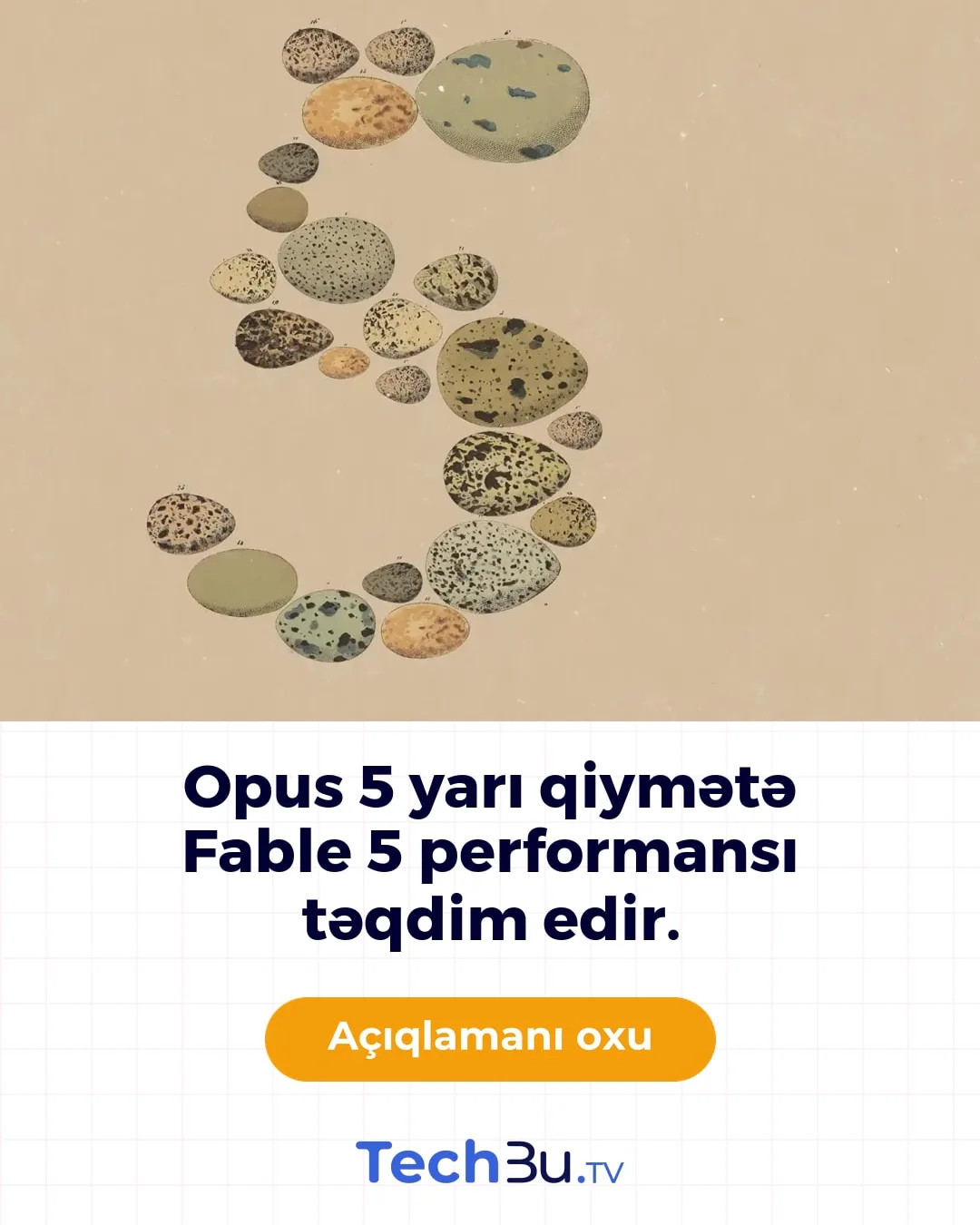 Opus 5 yarı qiymətə Fable 5 performansı təqdim edir.
